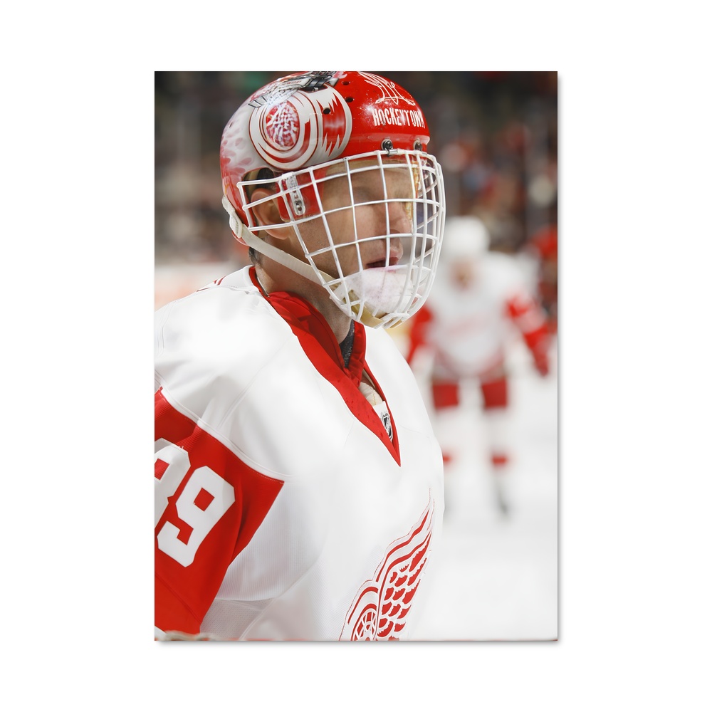 Poster Dominik hasek